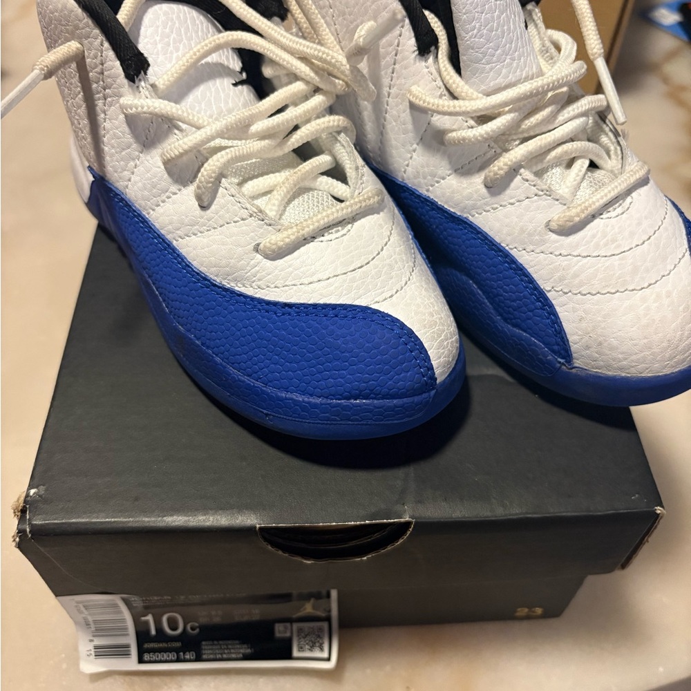 Retro Jordan Blueberry 12
